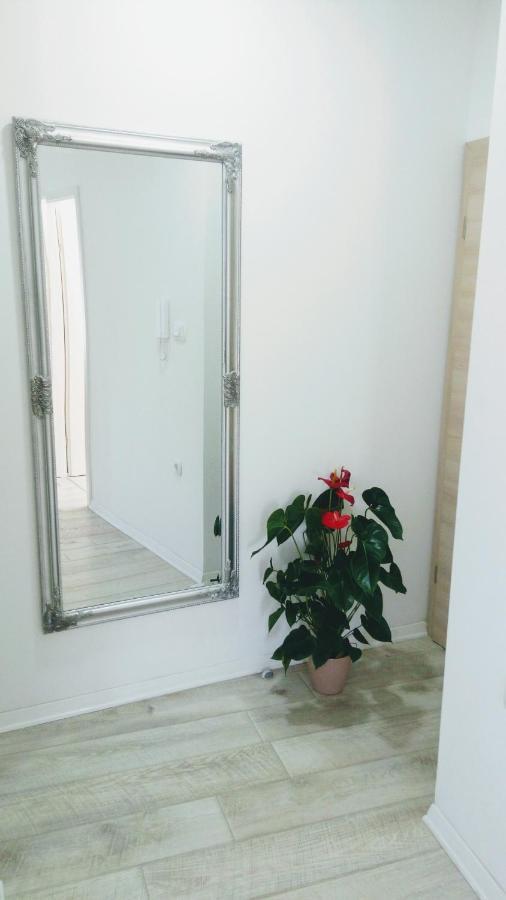 Apartment Davorka Makarska Dış mekan fotoğraf